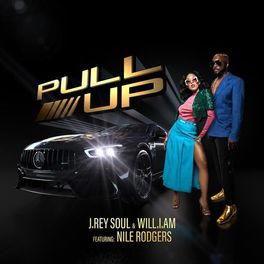 Album cover of PULL UP (feat. Nile Rodgers)