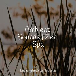 Album cover of Ambient Sounds | Zen Spa