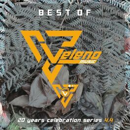 Album cover of BEST OF Veleno Music - 4.4