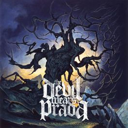 Album cover of With Roots Above And Branches Below (Standard Edition)