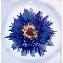 Album cover of Ripe Aster