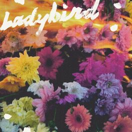 Album cover of Ladybird
