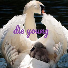 Album cover of die young