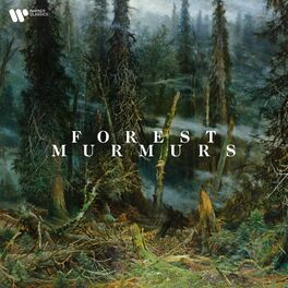 Album cover of Forest Murmurs
