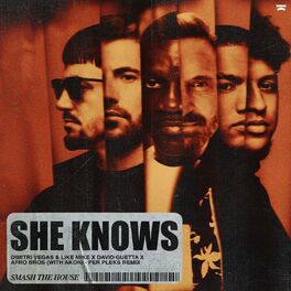 Album cover of She Knows (with Akon) (Per Pleks Remix)