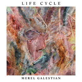 Album cover of Life Cycle