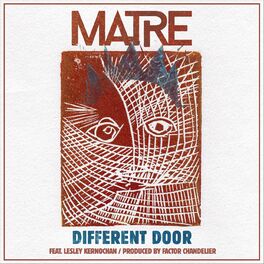 Album cover of Different Door
