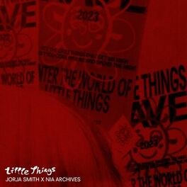 Album cover of Little Things (Nia Archives Remix)
