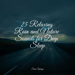 Album cover of 25 Relaxing Rain and Nature Sounds for Deep Sleep