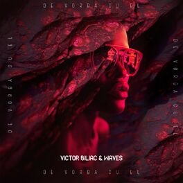 Album cover of De Vorba Cu El
