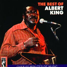 Album cover of The Best Of Albert King
