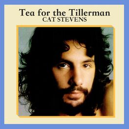 Album cover of Tea for the Tillerman