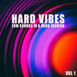 Album cover of Hard Vibes, Vol. 1
