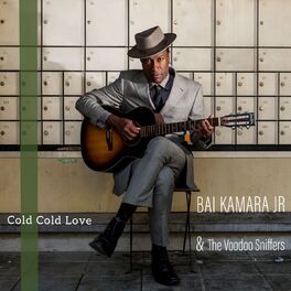 Album cover of Cold Cold Love