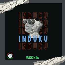 Album cover of Induku (feat.Sky)
