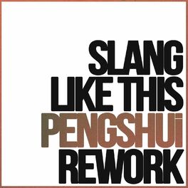 Album cover of Slang Like This (Rework)