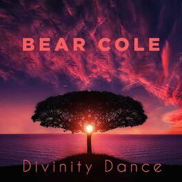 Album cover of Divinity Dance