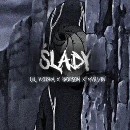 Album cover of ślady