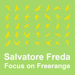 Album cover of Focus On : Freerange Salvatore Freda