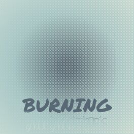 Album cover of Burning Memories