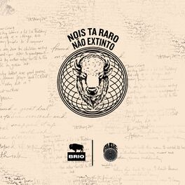 Album cover of Nois Ta Raro Não Extinto