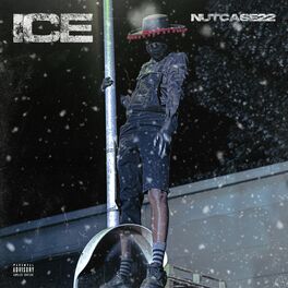 Album cover of Ice