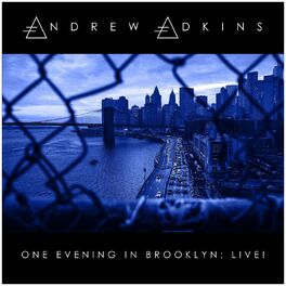 Album cover of One Evening in Brooklyn: Live!