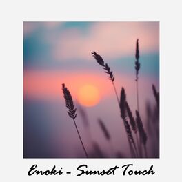 Album cover of Sunset Touch