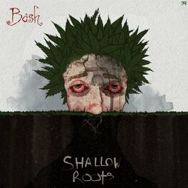 Album cover of Shallow Roots
