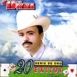 Album cover of Serie de Oro 20 Exitos (Vol. 4)