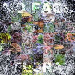 Album cover of Flora EP