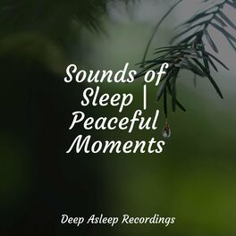 Album cover of Sounds of Sleep | Peaceful Moments