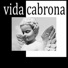Album cover of Vida Cabrona