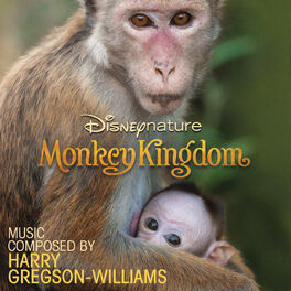 Album cover of Disneynature: Monkey Kingdom (Original Motion Picture Soundtrack)