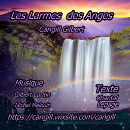 Album cover of Les larmes des anges (feat. Michel Maloin)