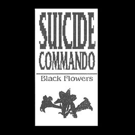 Album cover of Black Flowers
