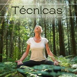 Album cover of Técnicas de Reducción de Estrés: 1 Hora de Música Relajante para Meditación, Ejercicios de Qigong Yoga y Meditación Profunda