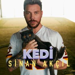 Album cover of Kedi
