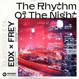 Album cover of The Rhythm Of The Night