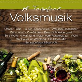 Album cover of A Tröpferl Volksmusik