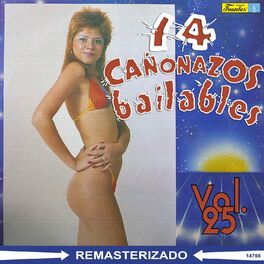 Album cover of 14 Cañonazos Bailables, Vol. 25