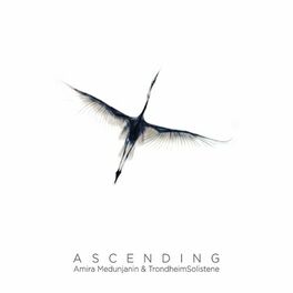 Album cover of ASCENDING