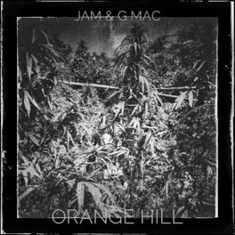 Album cover of Orange Hill