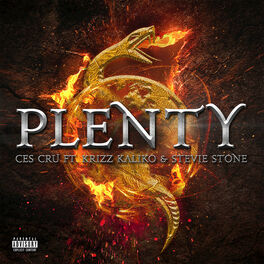 Album cover of Plenty