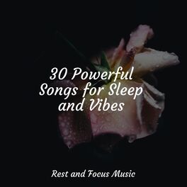 Album cover of 30 Powerful Songs for Sleep and Vibes