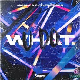 Album cover of What U Do (feat. Skyler Cocco)