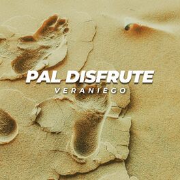 Album cover of Pal disfrute veraniego