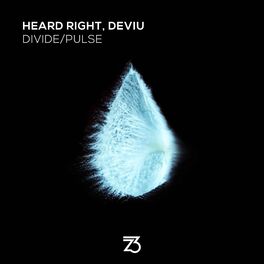 Album cover of Divide/Pulse