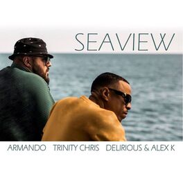 Album cover of Seaview