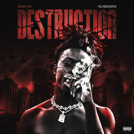 Album cover of Mind Of Destruction
